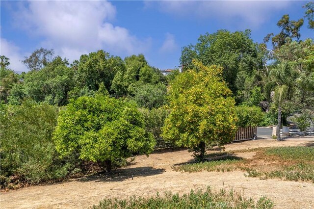 950 S Spring Meadow Dr, West Covina, CA 91791 - view of local wilderness