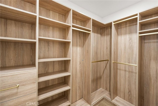 view of walk in closet