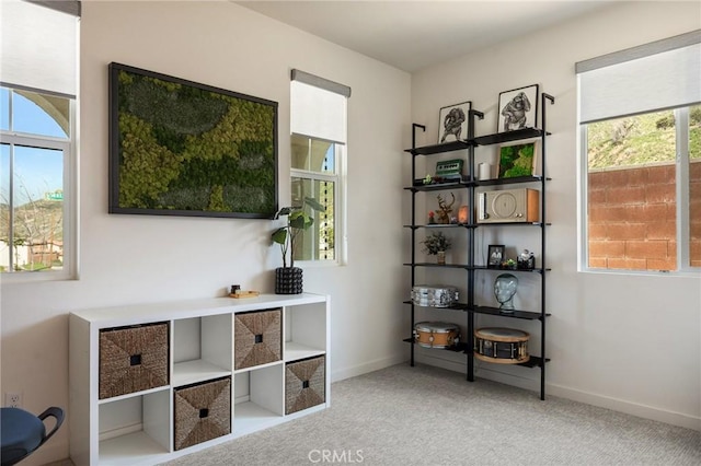 interior space with baseboards and carpet