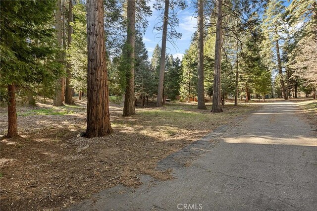 28525 Sycamore Dr, Lake Arrowhead, CA 92385 - photo 4