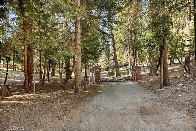 28525 Sycamore Dr, Lake Arrowhead, CA 92385 - photo 3