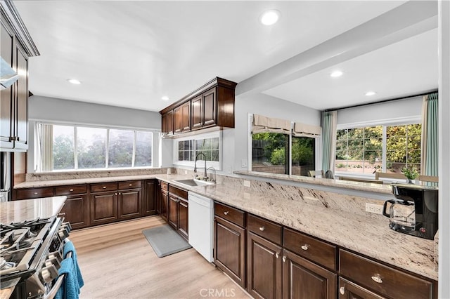kitchen with dishwasher, a sink, and dark brown cabinetry