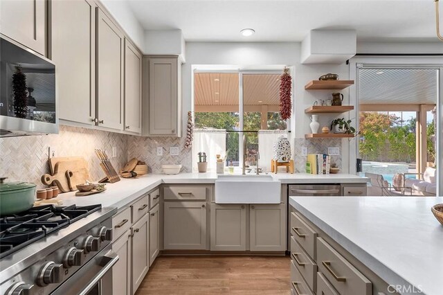 kitchen featuring stainless steel stove, gray cabinets, light wood-style flooring, light countertops, and a sink