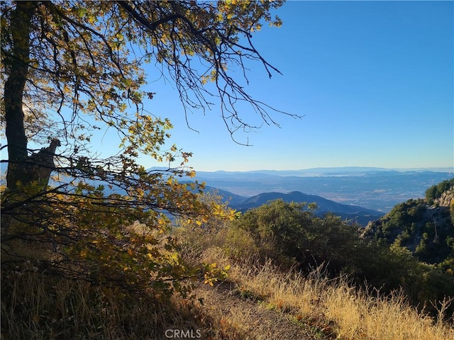 28662 Zion Dr, Lake Arrowhead, CA 92352 - mountain view