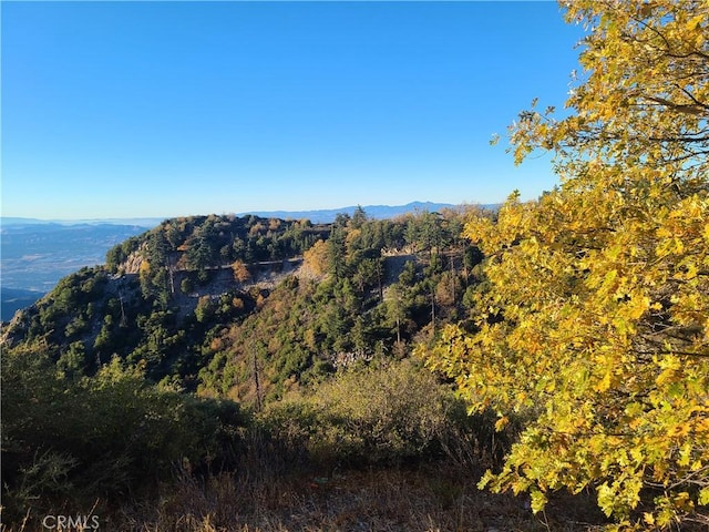 28662 Zion Dr, Lake Arrowhead, CA 92352 - view of mountain backdrop featuring a forest