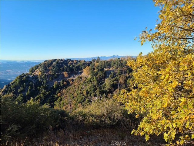 28662 Zion Dr, Lake Arrowhead, CA 92352 - photo 34