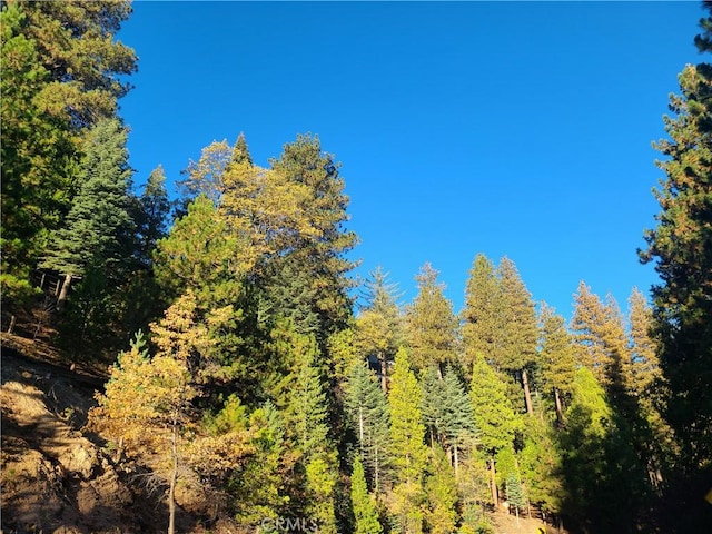 28662 Zion Dr, Lake Arrowhead, CA 92352 - view of tree filled area