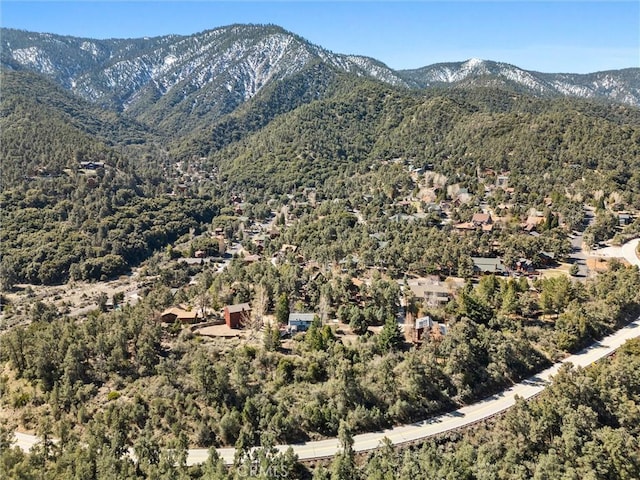 14521 Voltaire Dr, Pine Mountain Club, CA 93222 - view of mountain background with a heavily wooded area