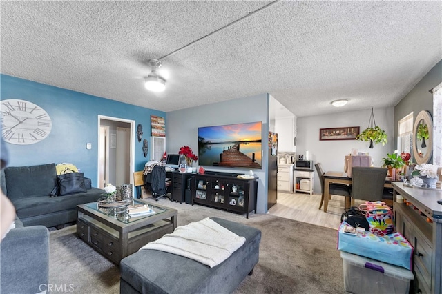 living room featuring a textured ceiling