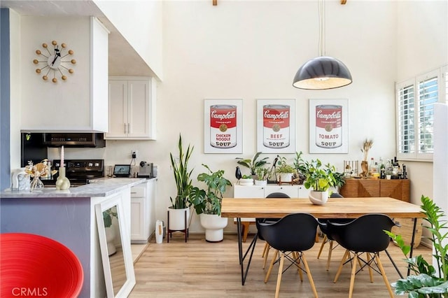 interior space with light wood-style flooring, light countertops, white cabinetry, and black electric range oven