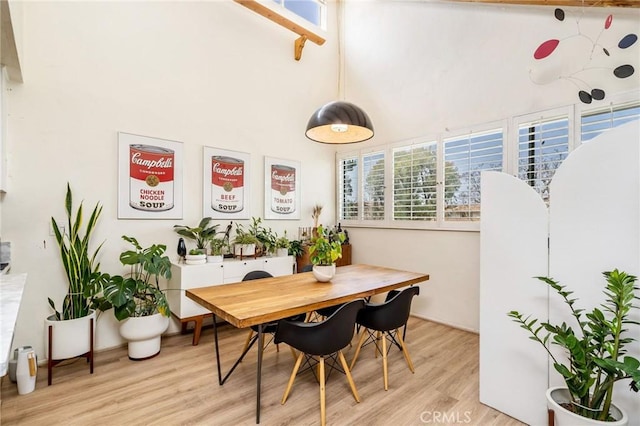 dining space with light wood finished floors