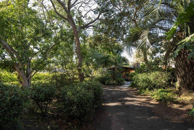 view of road featuring dirt driveway