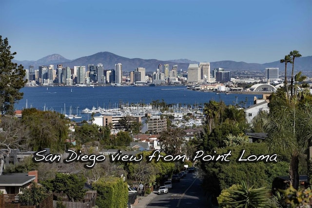 water view with a mountain view and a view of city
