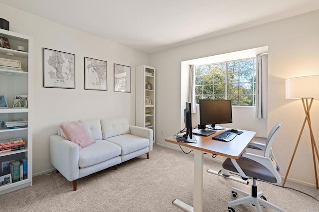 office featuring light carpet