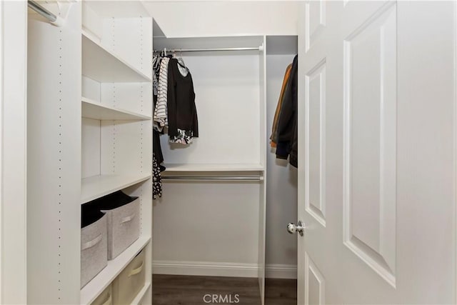 374 Quail Rdg, Irvine, CA 92603 - walk in closet featuring dark wood-type flooring