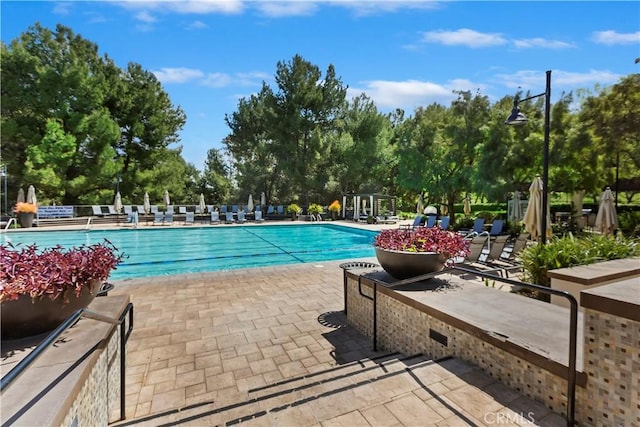 374 Quail Rdg, Irvine, CA 92603 - community pool with a patio area and view of wooded area