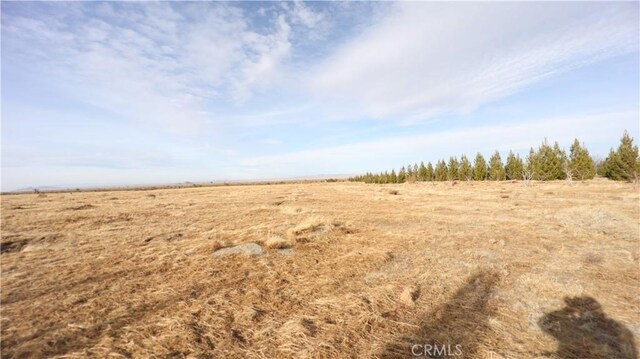 3002 Estero Rd, Pinon Hills, CA 92372