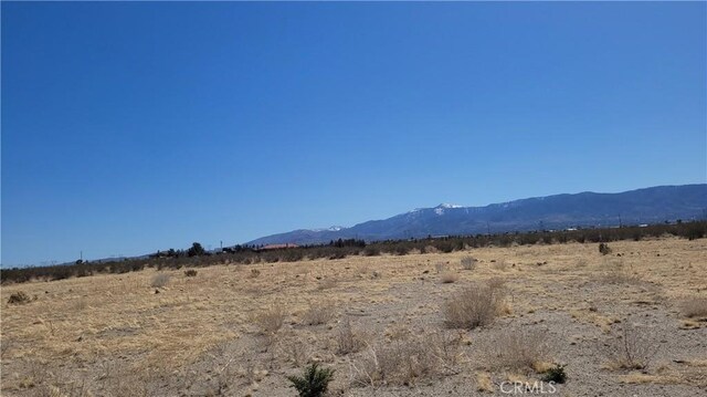 3002 Estero Rd, Pinon Hills, CA 92372