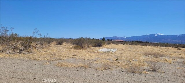 3002 Estero Rd, Pinon Hills, CA 92372
