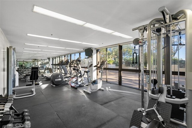 222 Monterey Rd Unit 1203, Glendale, CA 91206 - gym featuring expansive windows
