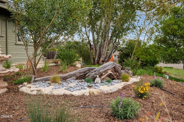 402 Lynn Dr, Ventura, CA 93003 - view of yard