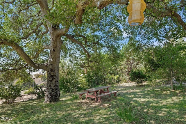 402 Lynn Dr, Ventura, CA 93003 - view of yard
