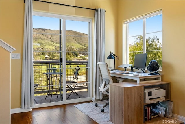 office with baseboards, plenty of natural light, and hardwood / wood-style flooring