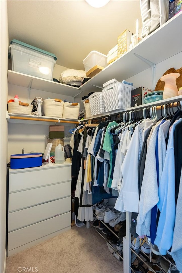 spacious closet with carpet flooring