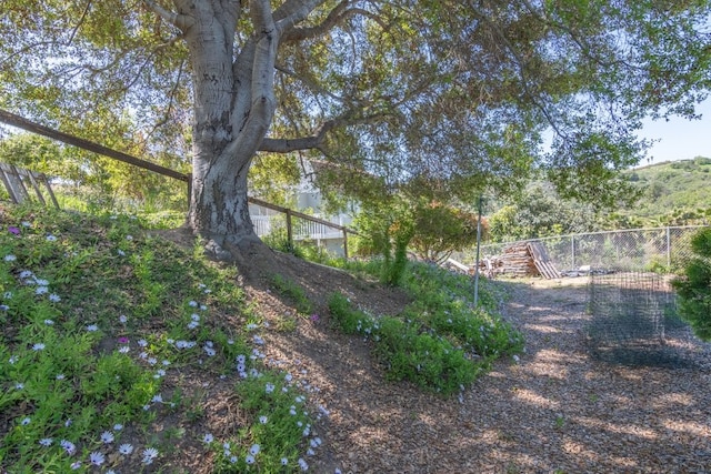 1471 Via Monserate, Fallbrook, CA 92028 - view of yard