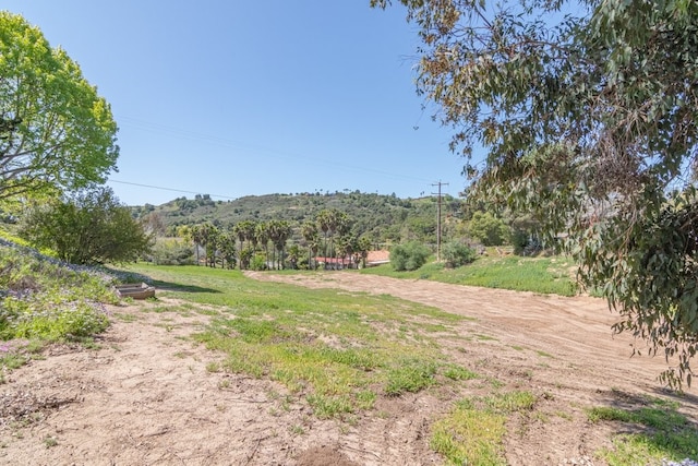 1471 Via Monserate, Fallbrook, CA 92028 - view of yard