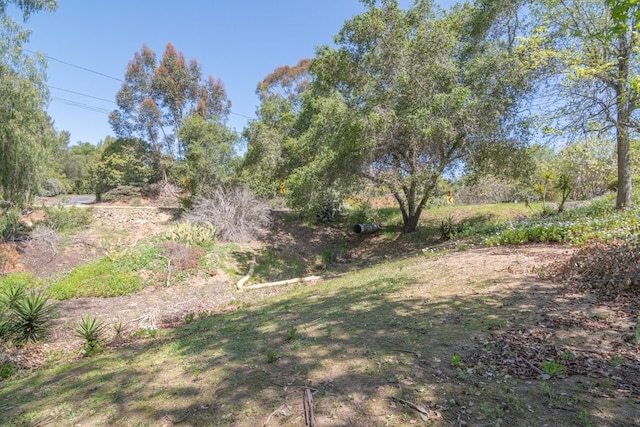 1471 Via Monserate, Fallbrook, CA 92028 - view of yard