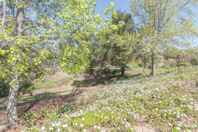1471 Via Monserate, Fallbrook, CA 92028 - view of local wilderness