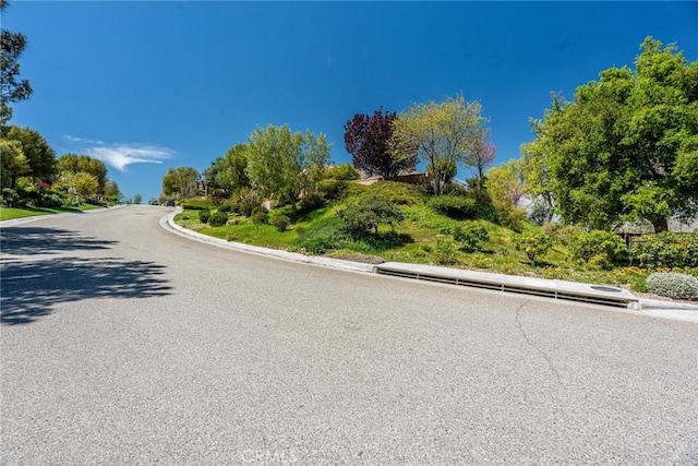 view of street with curbs
