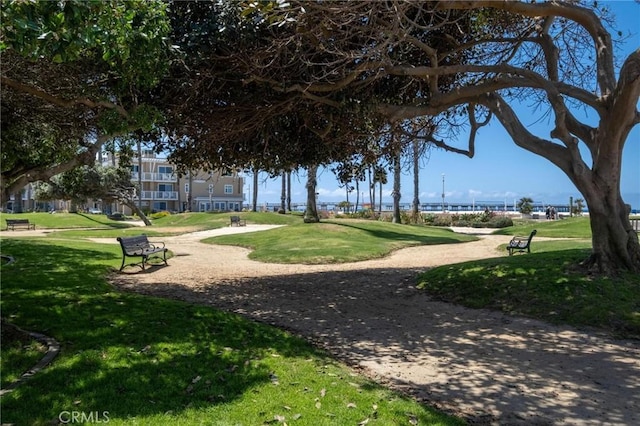 15 15th St Unit 6, Hermosa Beach, CA 90254 - view of community with a lawn