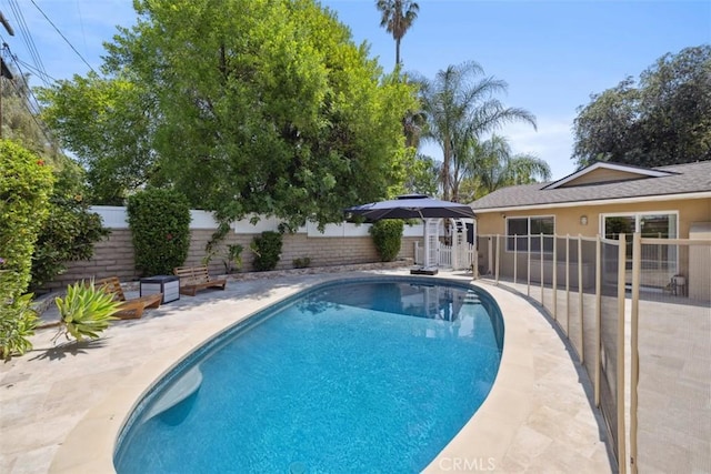 view of pool featuring a fenced backyard, a fenced in pool, and a patio