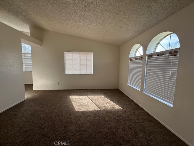 carpeted spare room with vaulted ceiling, a healthy amount of sunlight, and a textured ceiling