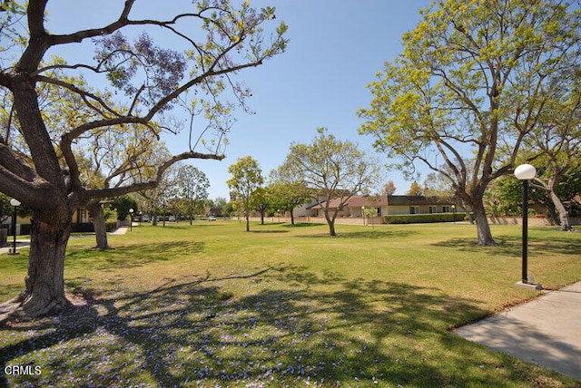 view of yard
