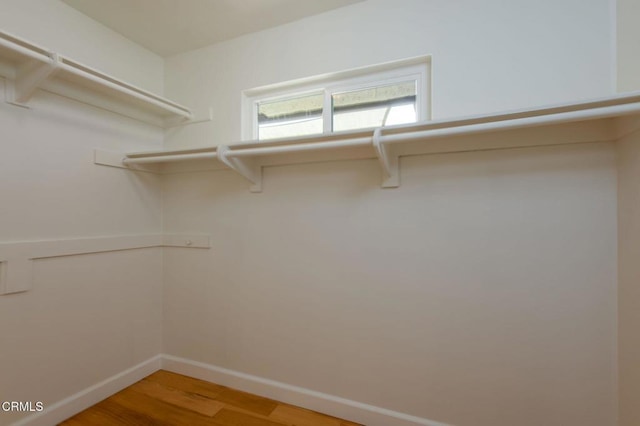 walk in closet featuring wood finished floors