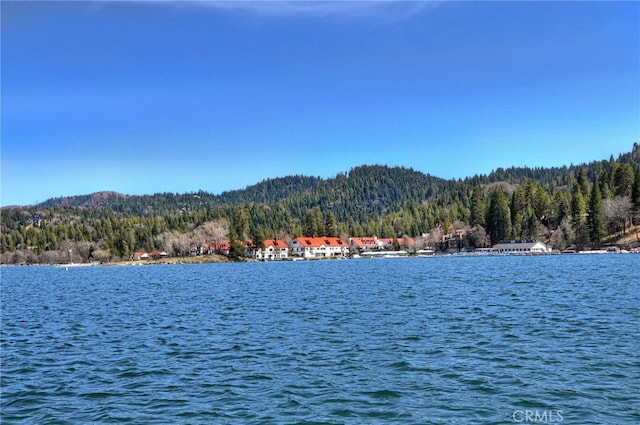 28018 Peninsula, Lake Arrowhead, CA 92352 - water view featuring a forest