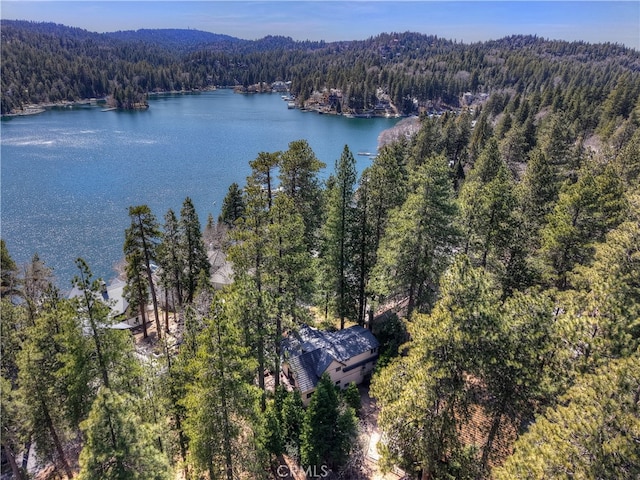 28018 Peninsula, Lake Arrowhead, CA 92352 - drone / aerial view of a forest and a large body of water