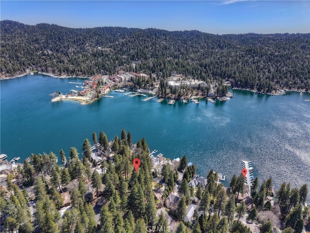 28018 Peninsula, Lake Arrowhead, CA 92352 - aerial view of a forest and a large body of water