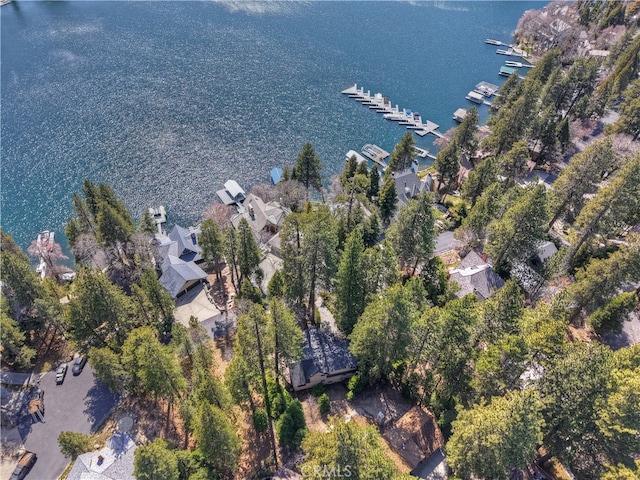 28018 Peninsula, Lake Arrowhead, CA 92352 - aerial view of property's location featuring a nearby body of water