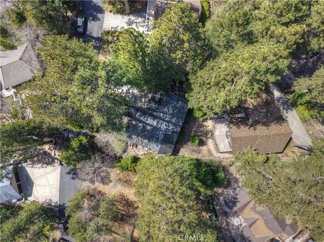 28018 Peninsula, Lake Arrowhead, CA 92352 - aerial overview of property's location