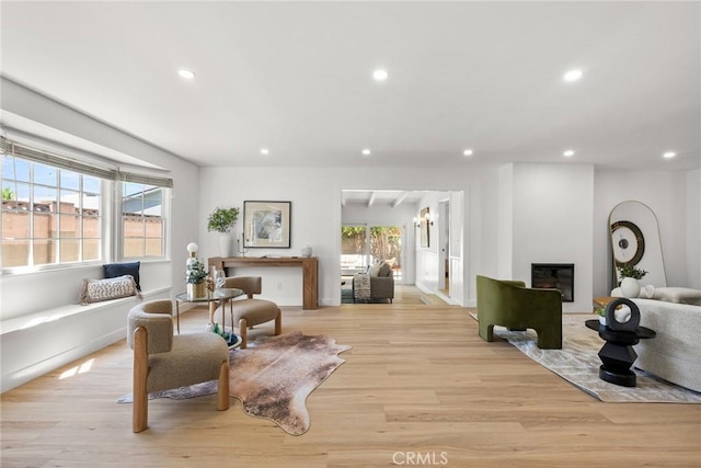 13807 Wyandotte St, Van Nuys, CA 91405 - living room featuring recessed lighting, light wood finished floors, and a glass covered fireplace
