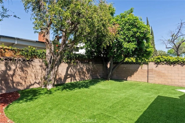 view of yard with a fenced backyard