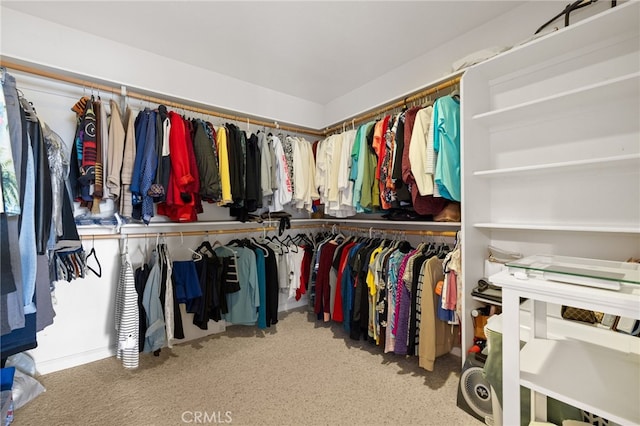 1400 Genoa Way, Santa Maria, CA 93455 - view of spacious closet
