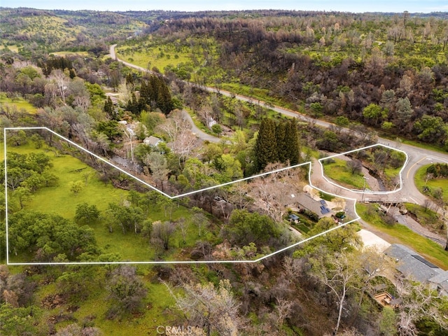 11 Sycamore Valley Rd, Chico, CA 95973 - view of property location with property parcel outlined and a heavily wooded area