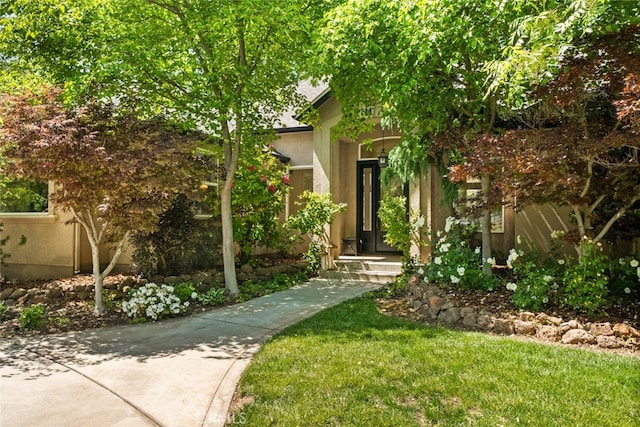 11 Sycamore Valley Rd, Chico, CA 95973 - entrance to property with stucco siding and a yard