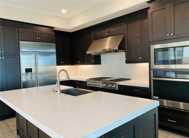 kitchen with light countertops, under cabinet range hood, light wood-style floors, stainless steel appliances, and a sink