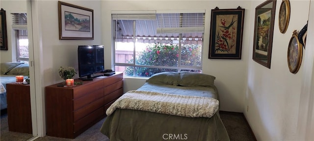 bedroom with carpet flooring